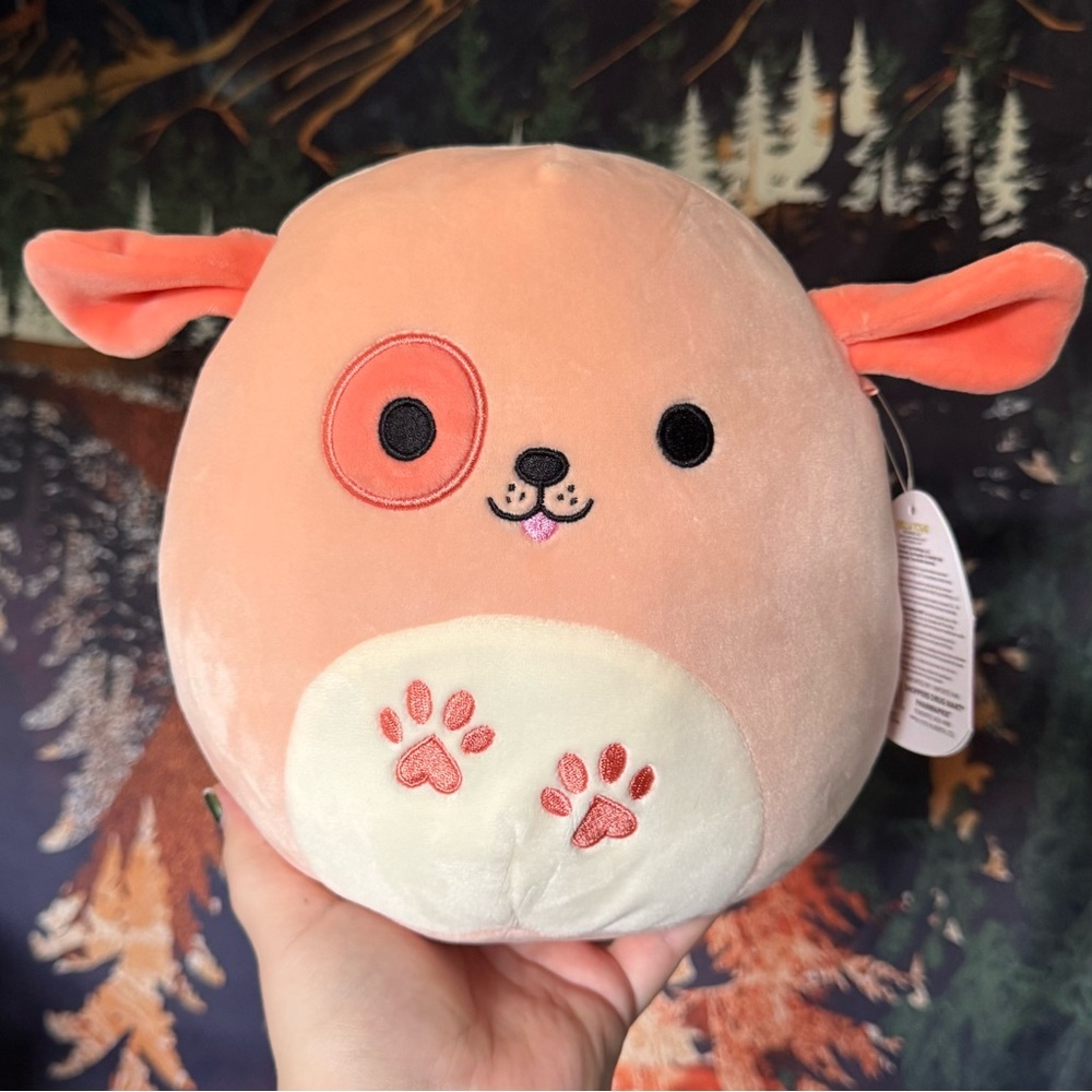 8" Drella the dog Squishmallow BNWT